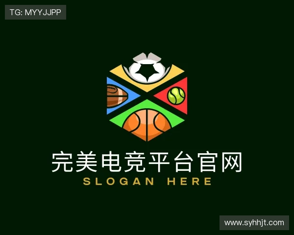 发现完美电竞